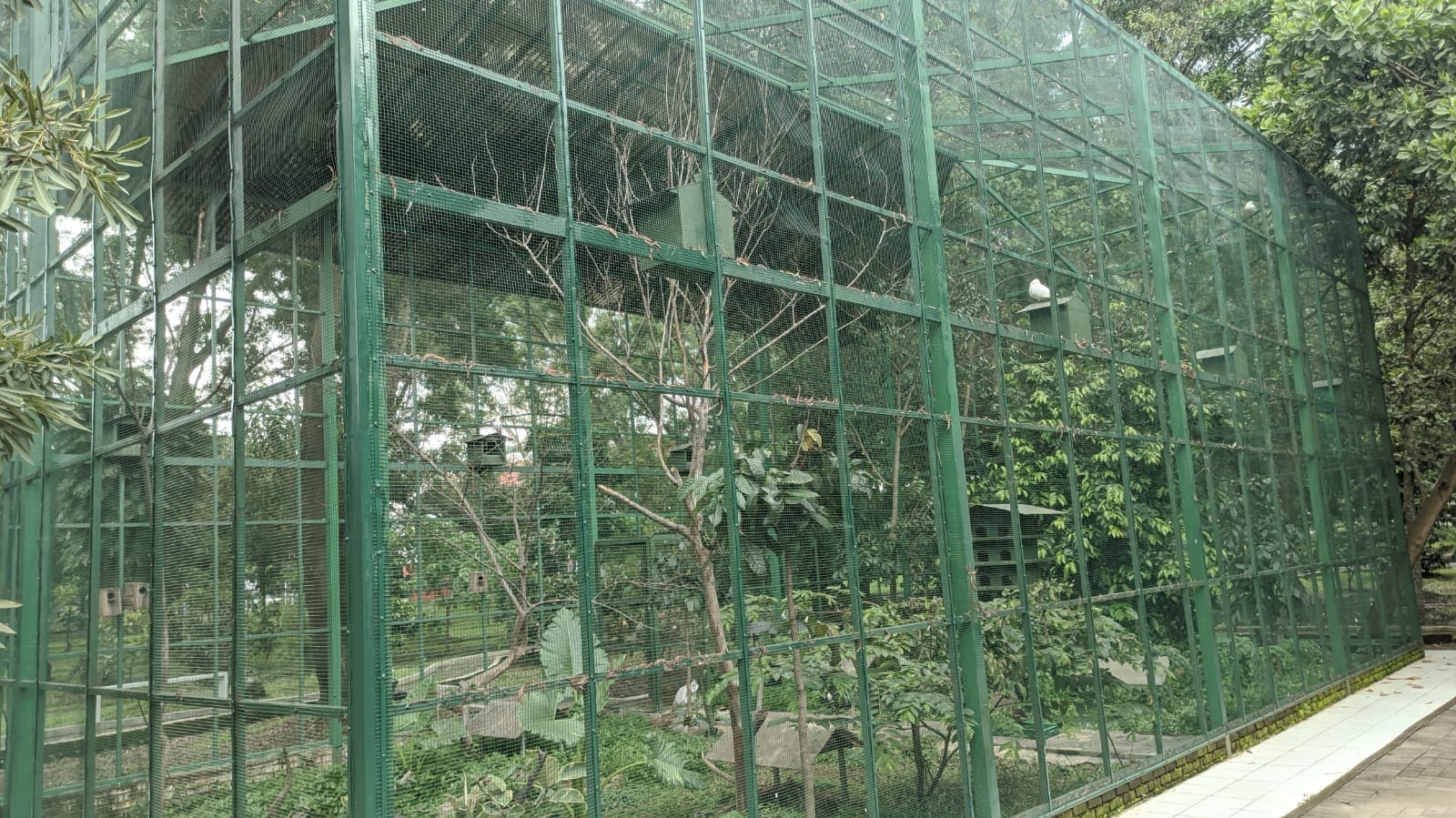 sangkar burung telkom university