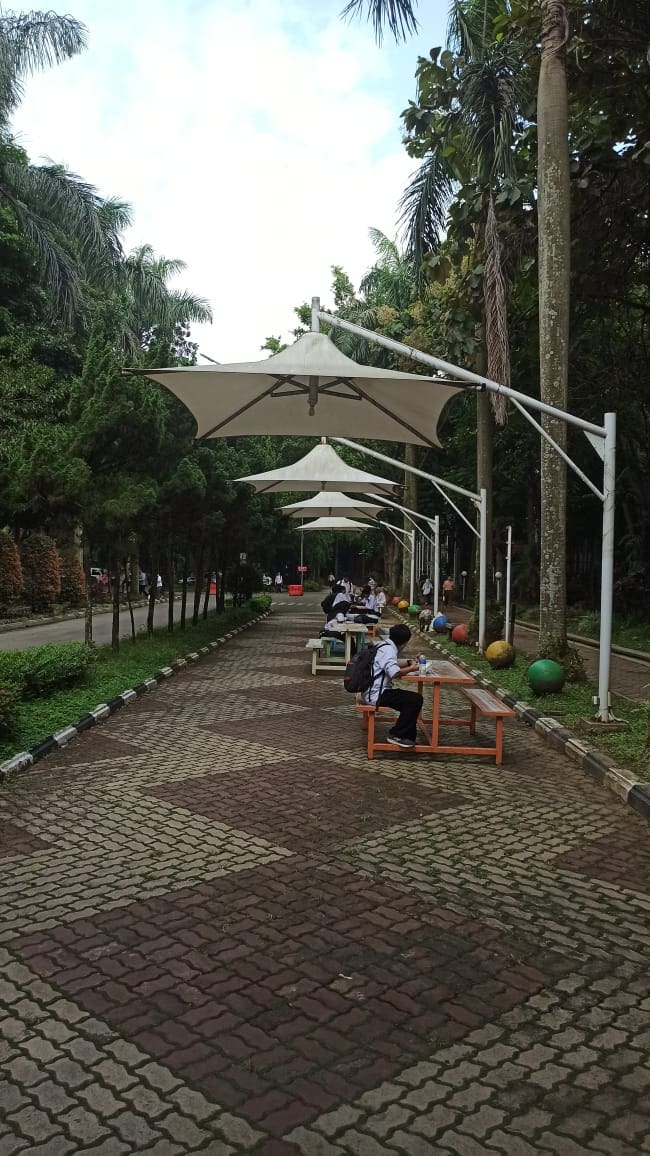 IMG 20230310 WA0001