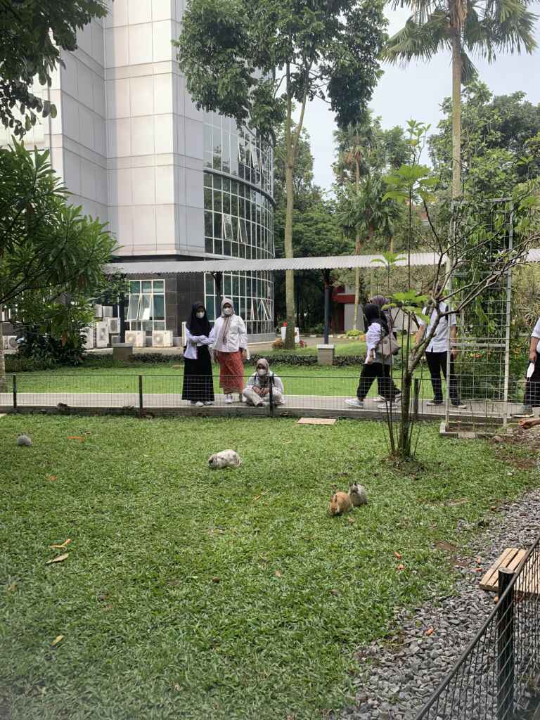 mini zoo di telkom university 1 scaled