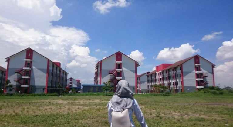 pemandangan sawah depan asrama putri gedung 11 12 telkom university