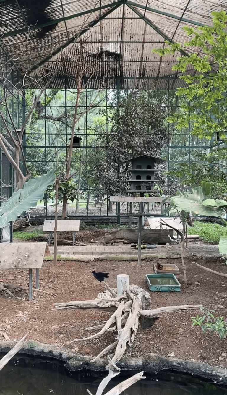 telkom university bird park