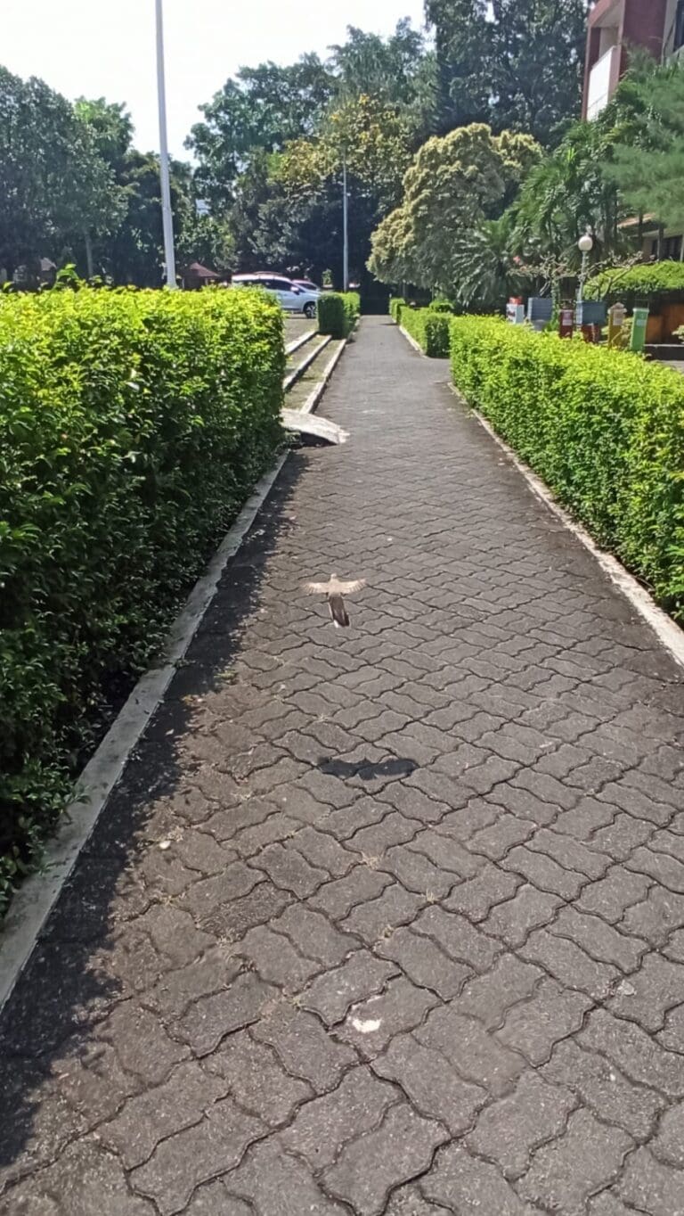 IMG 20230510 WA0004