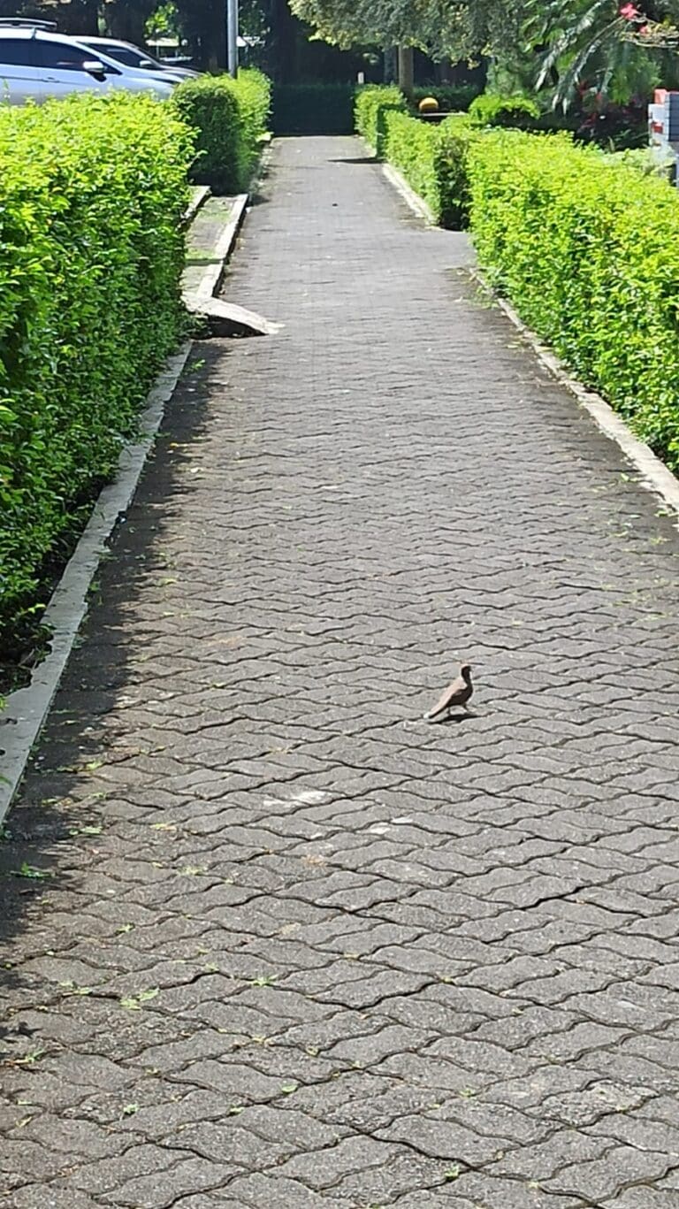 IMG 20230510 WA0005