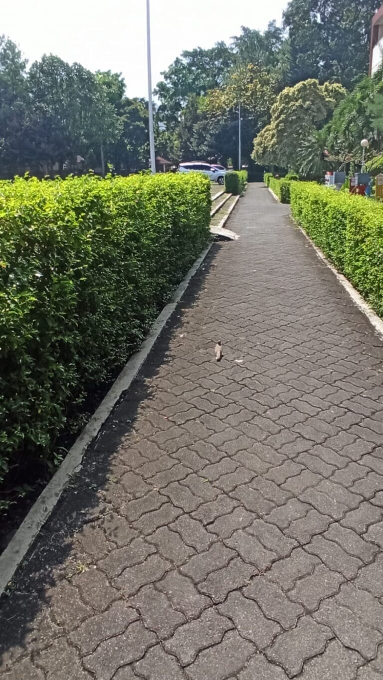 IMG 20230510 WA0009