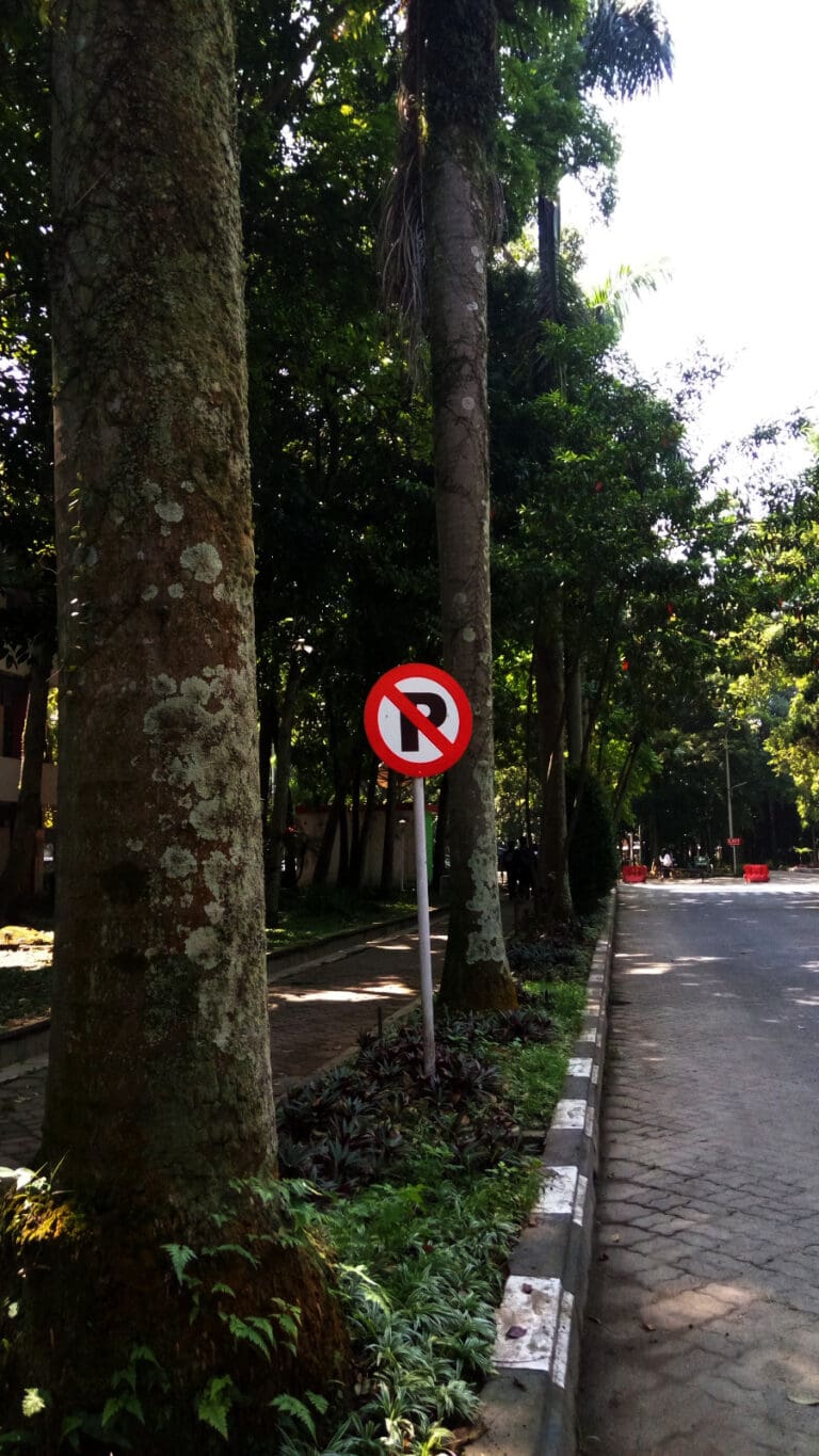 WhatsApp Image 2023 05 24 at 12.12.46