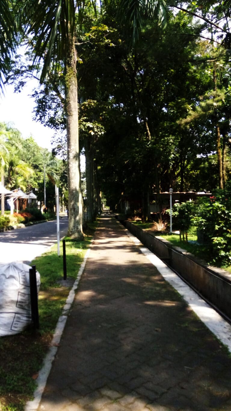 WhatsApp Image 2023 05 24 at 12.13.14