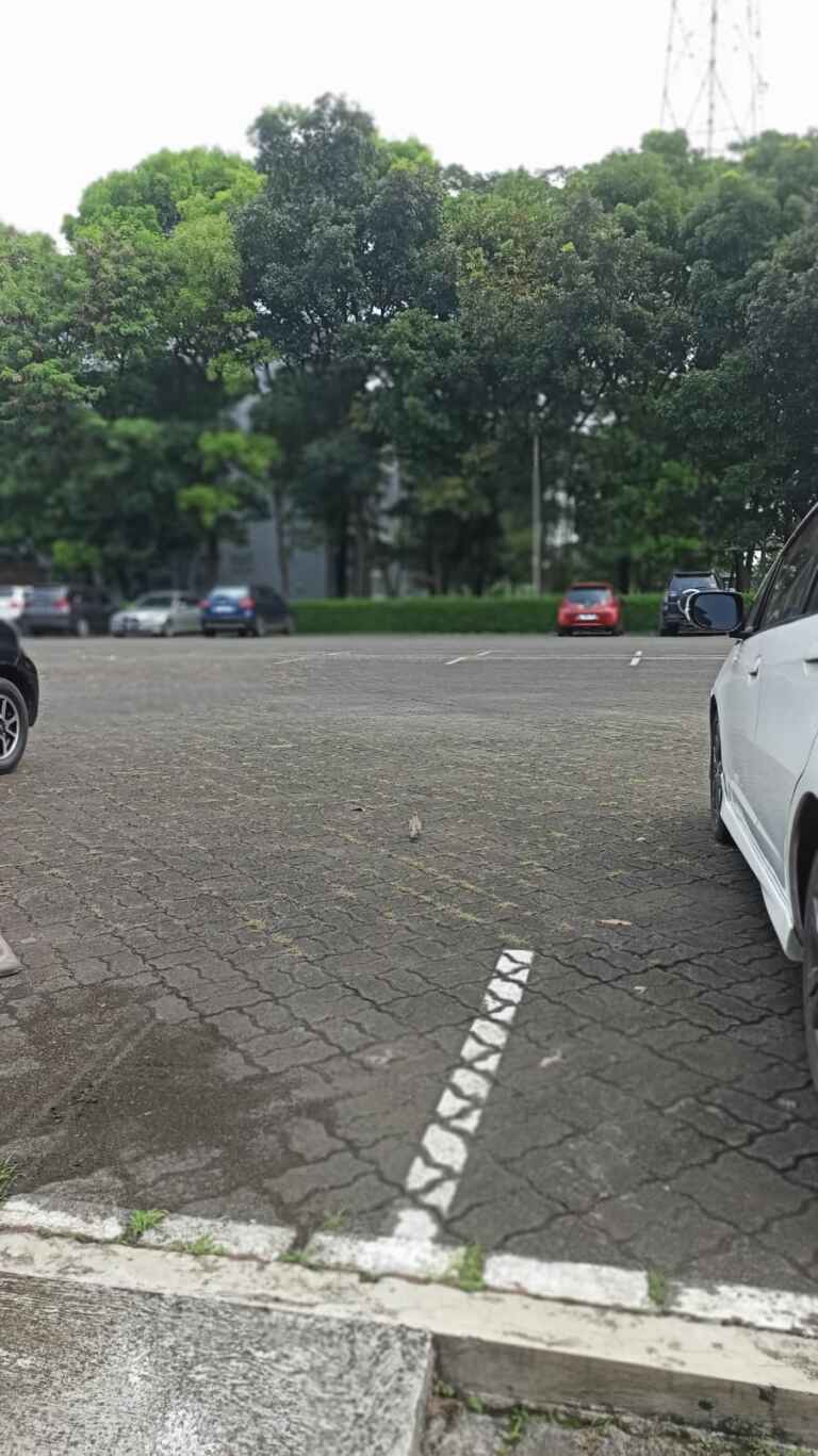IMG 20230509 WA0006