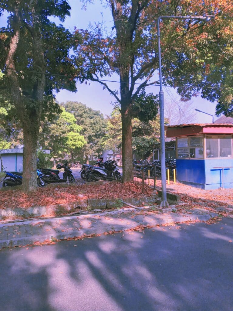 20231012 074224 877[1]