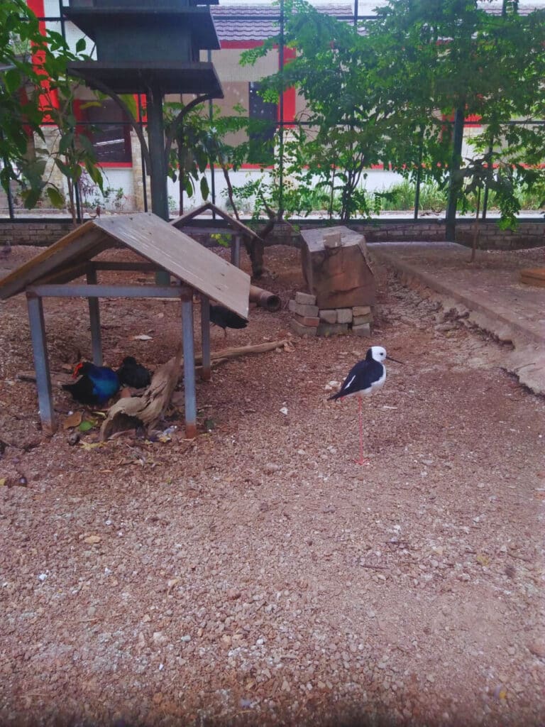 8100d4df 6930 4c68 8eed 38cccd9182c2