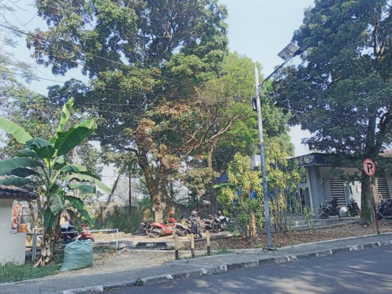 WhatsApp Image 2023 10 04 at 10.06.10