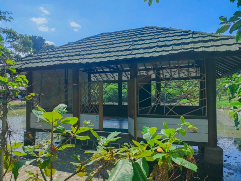 saung scaled