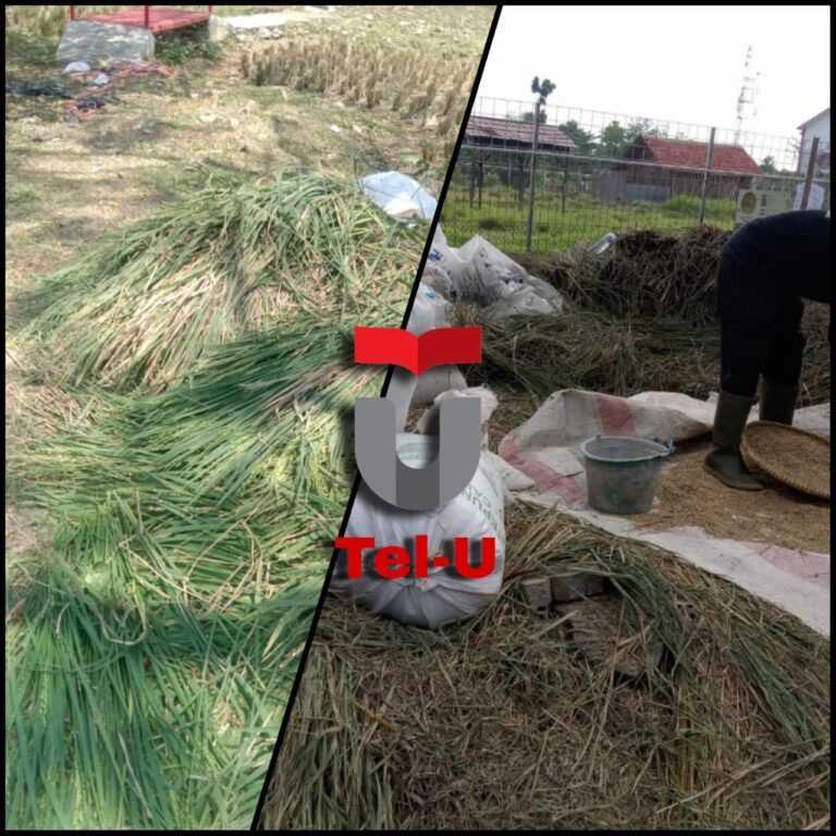 WhatsApp Image 2024 10 28 at 12.07.02