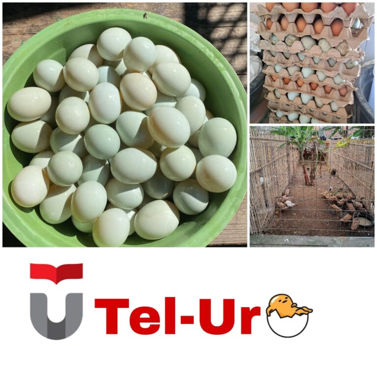 WhatsApp Image 2024 10 28 at 13.36.25