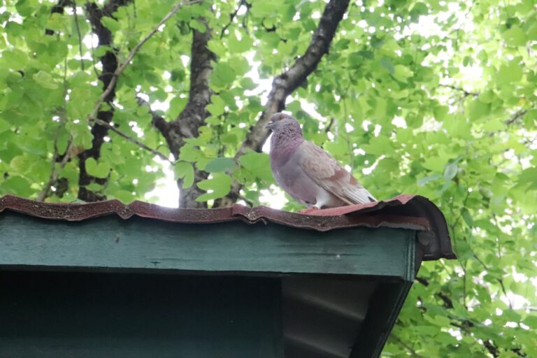 5a85eab4 a8a2 449e aaf0 769506097046