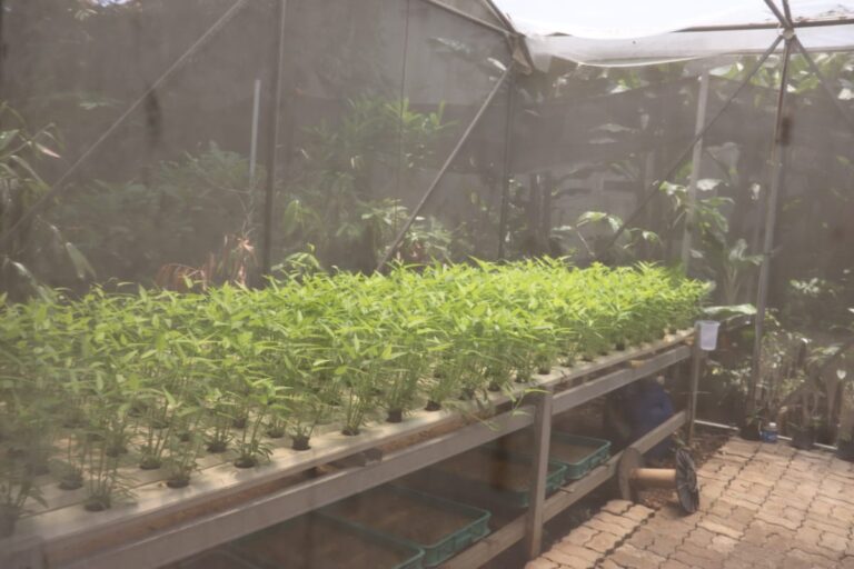 822d5a98 102f 4802 af04 2278dee18184