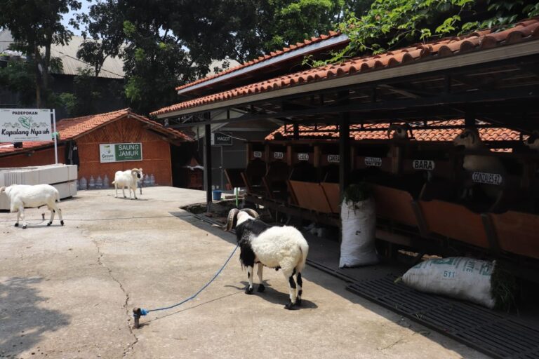 WhatsApp Image 2024 11 13 at 14.01.23 1