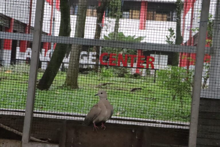 de848ffa 60c5 4608 84de d06b8febb5d4