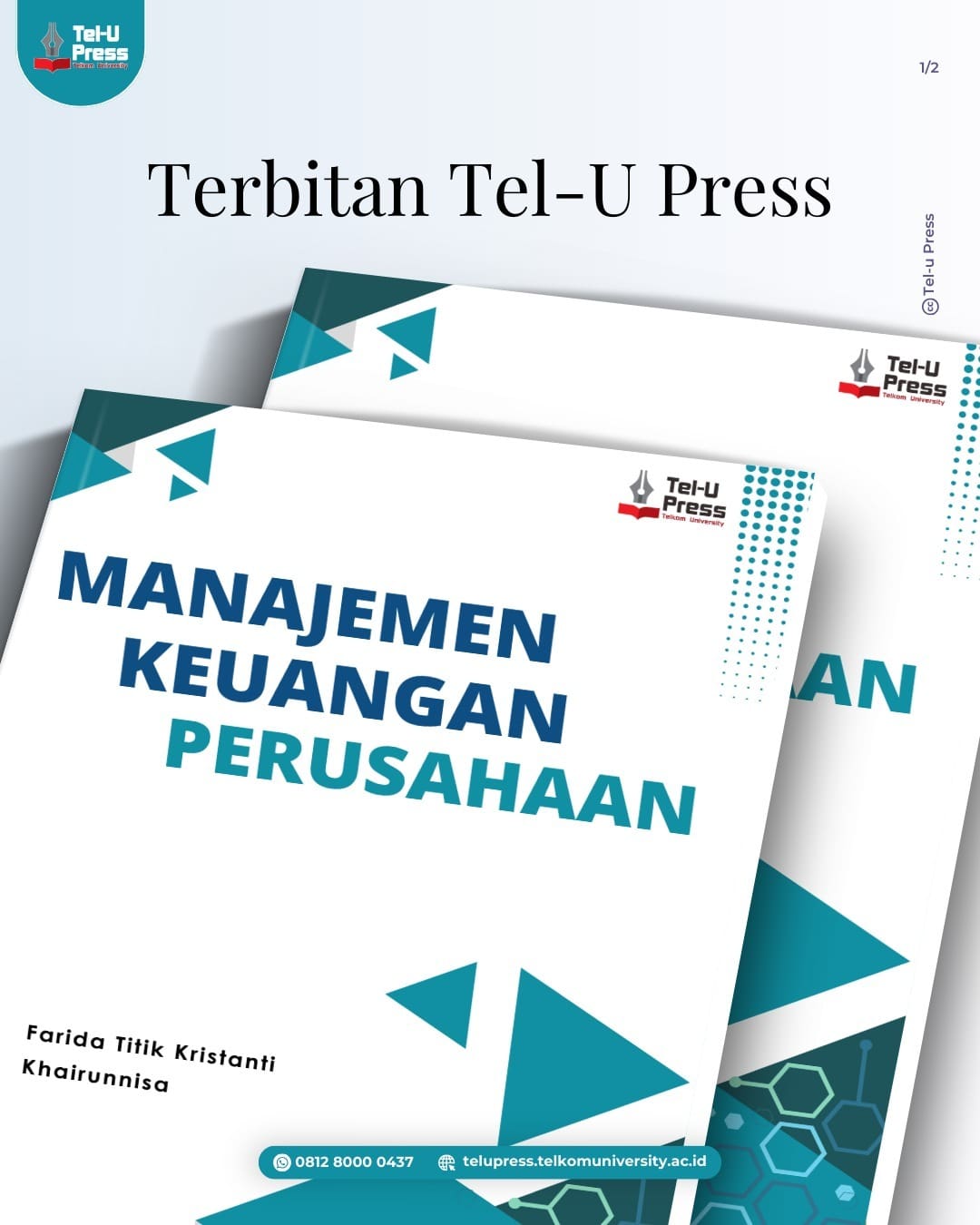 1736501147 HEI Telutizen Ingin Meningkatkan Kinerja Keuangan Perusahaan Telutizen Buku