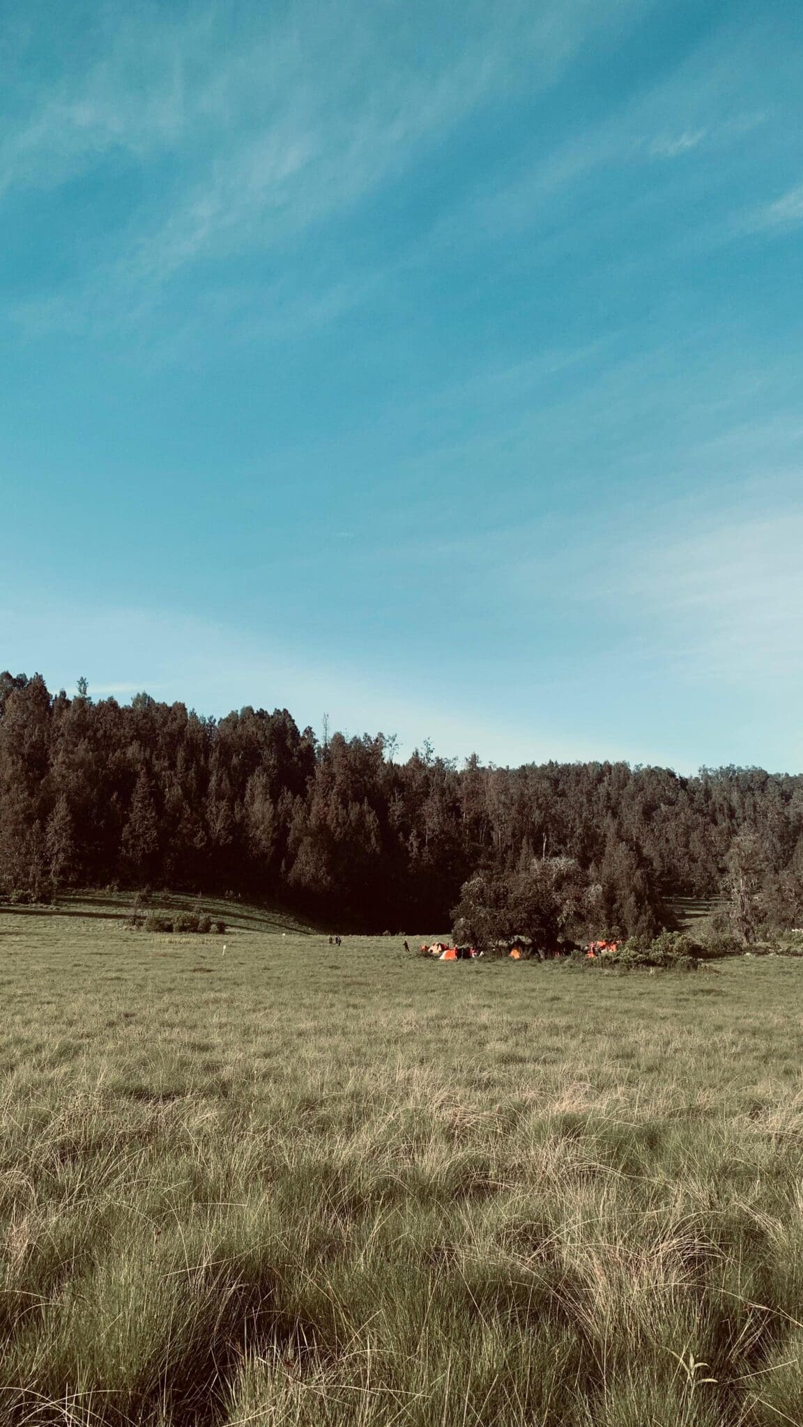 1739603851 Bagian 2 Liburan ala anak Astacala Nggak jauh jauh dari petualangan scaled