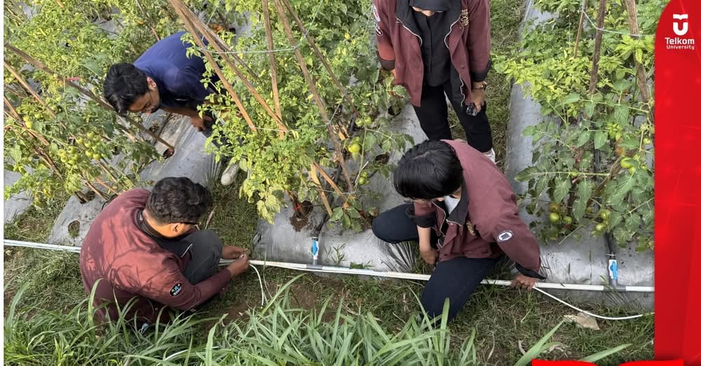 Sinergi Teknologi dan Petani: HMTI Telkom University Terapkan Smart Farming berb