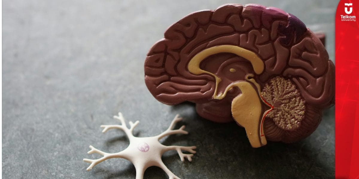 Dosen Tel-U Raih Pendanaan RIIM 2026, Kembangkan Teknologi AI untuk Deteksi Dini